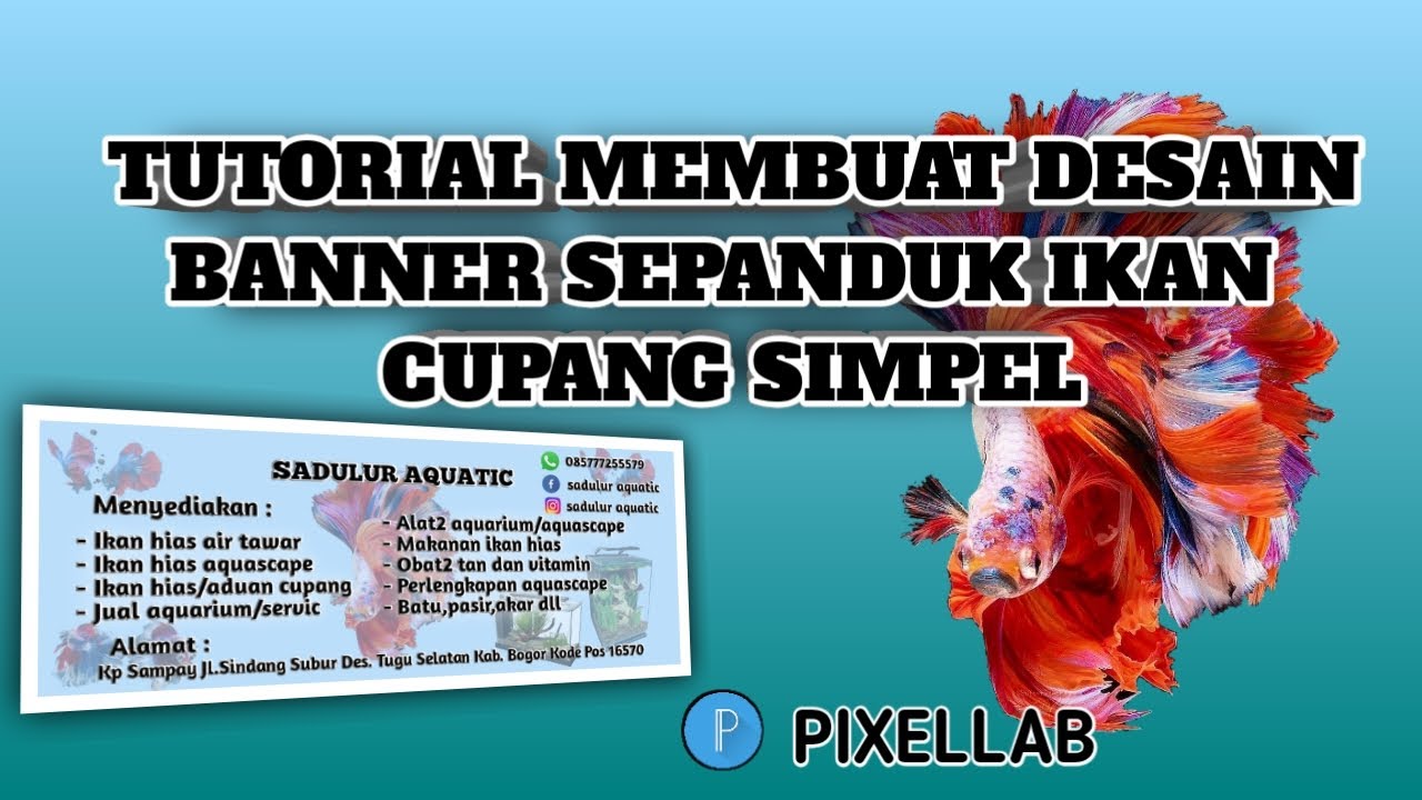 TUTORIAL MEMBUAT DESAIN LOGO ATAU BANNER IKAN CUPANG DI PIXELLAB SIMPLE