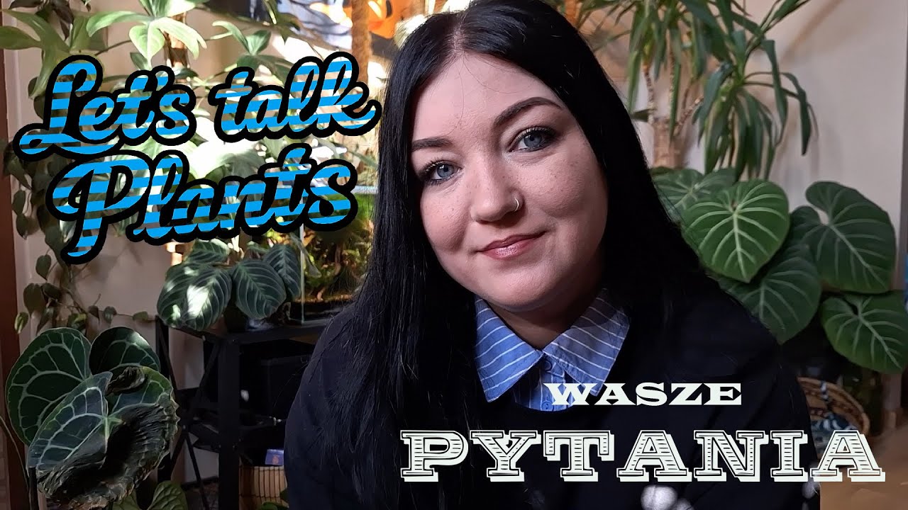 You Ask and I answer🌱 / Roślinne Q&A czyli odpowiadam na Wasze pytania ratując moje Anthuria cz.1