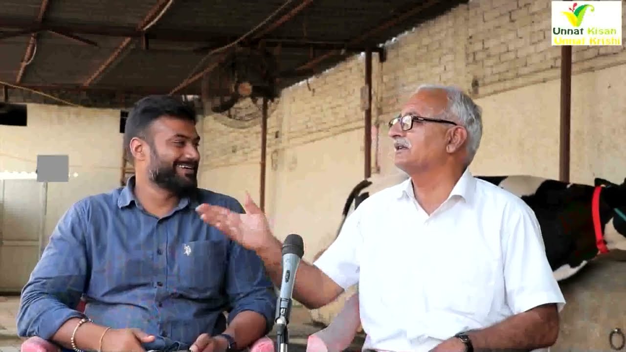 जौली डेयरी फ़ार्म 30 लीटर दूध वाली गायें 72000 के हिसाब में बात कर रहे है ज्ञान की बातें मुफ़्त में