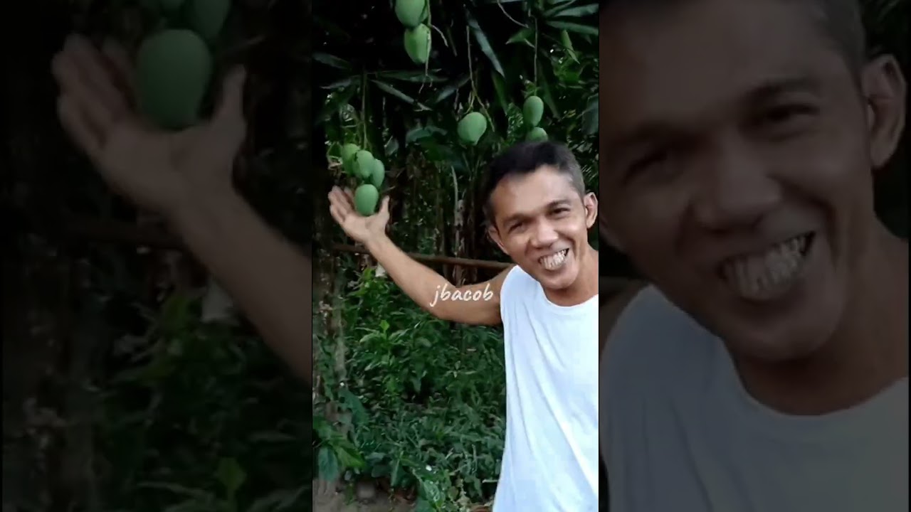 Ka islaw funny compilations no.4