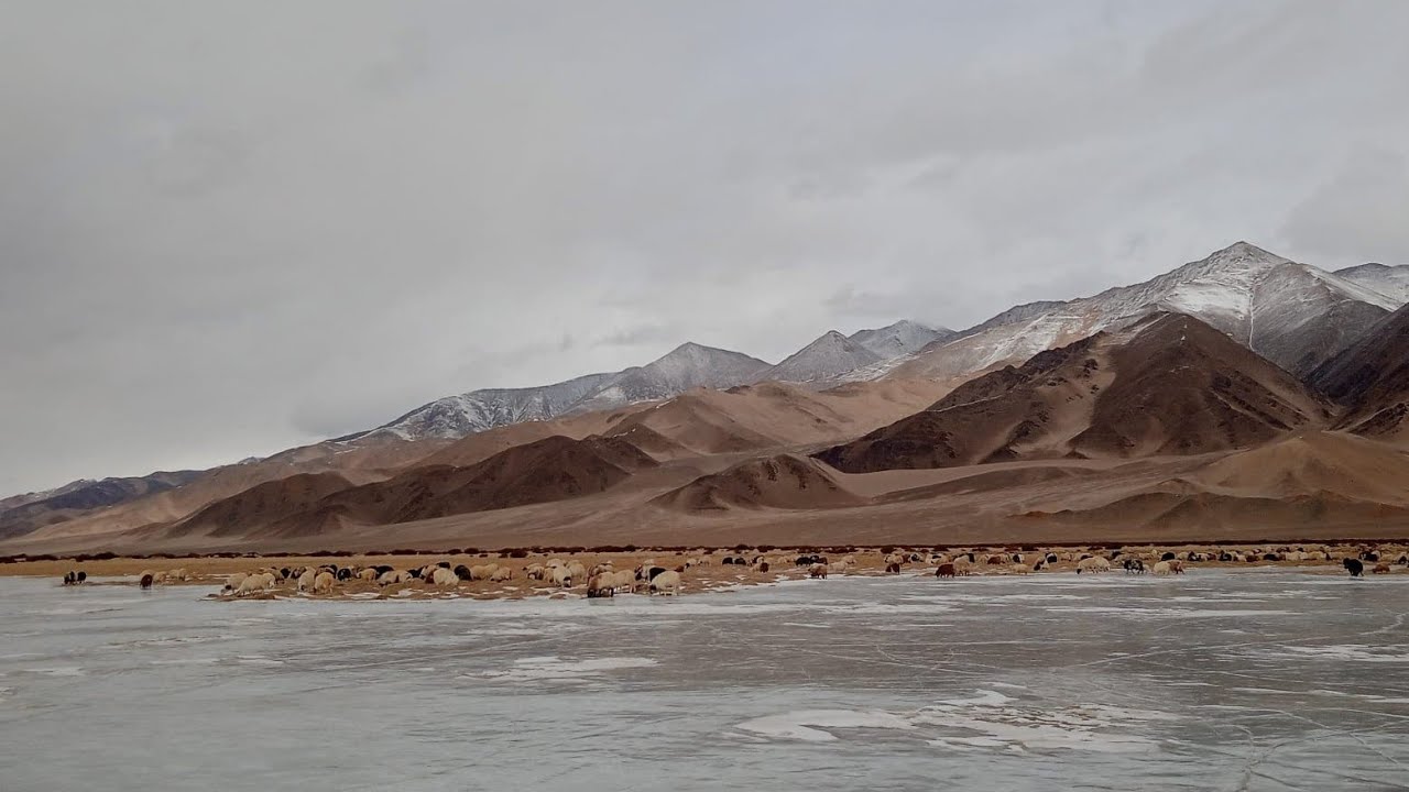   ཕ་ཡུལ་གྱི་དམངས་གཞས་ནོར་བུ་གླིང་ལ་ལོག་འགྲོ། #janghangjabro#korsogjabro#nomadiclife..