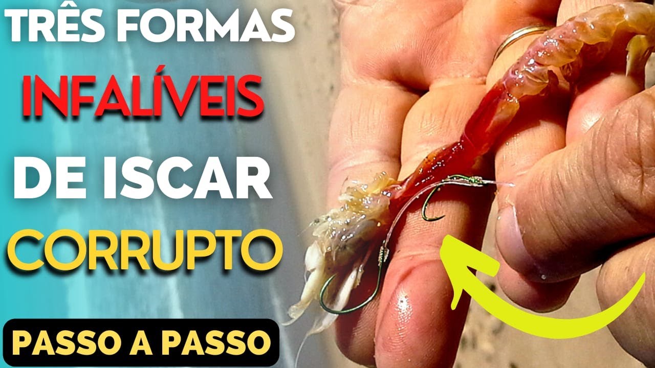 [Passo a passo] Três formas infalíveis de iscar corrupto