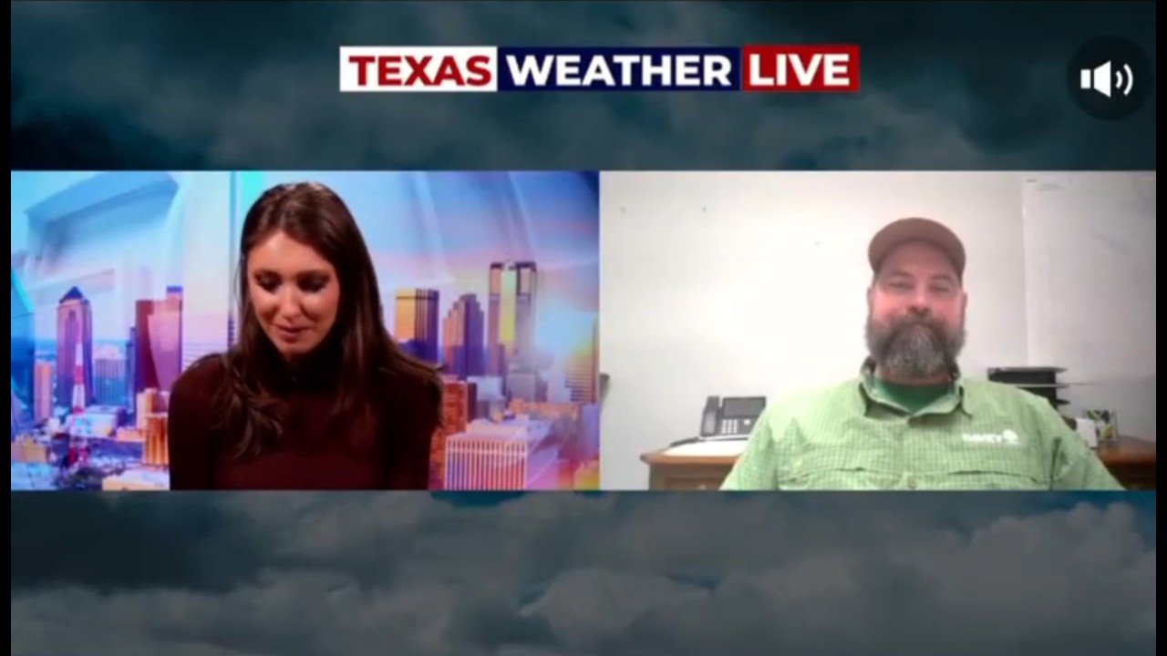 Texas Arborist Says It May Be Time to Break Up with Your Tree