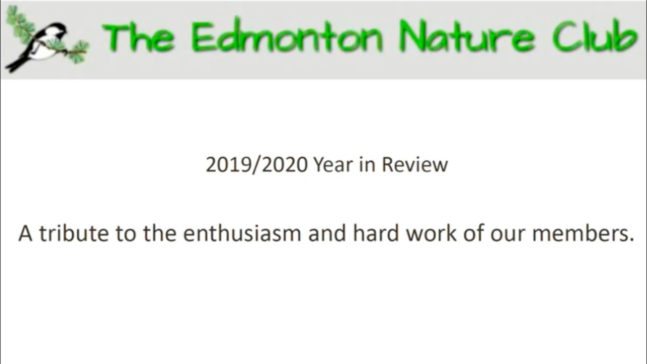 2019-2020 Year in Review