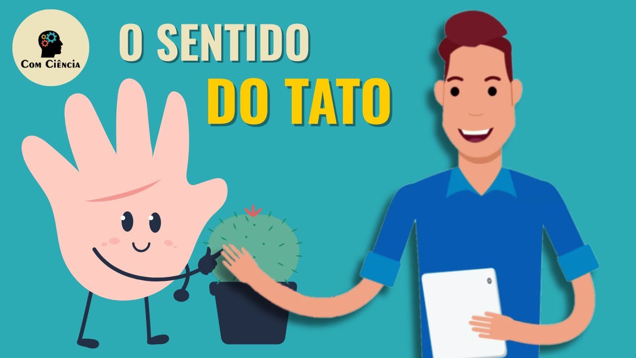 RESUMO do sentido do TATO