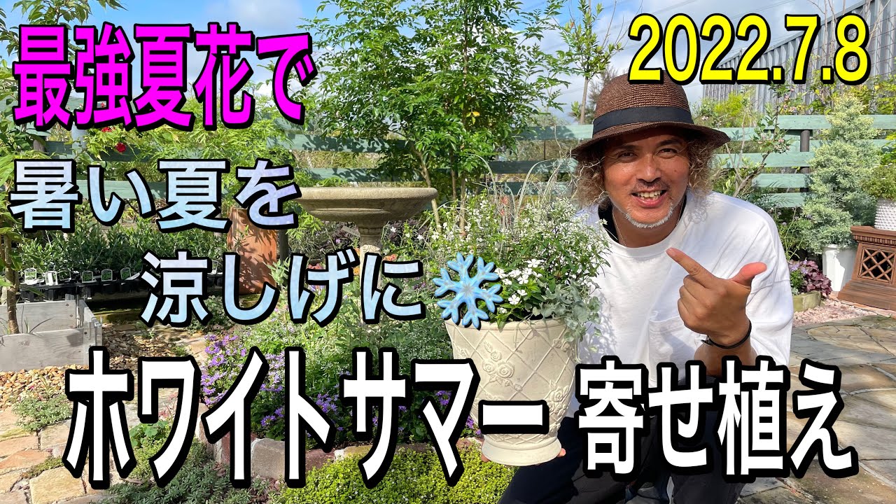【寄せ植え】最強夏花で涼しげなホワイトサマー寄せ植え
