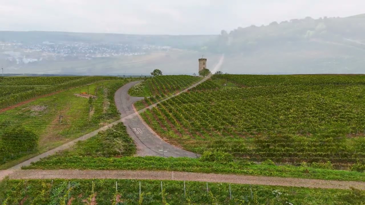 A fine morning near Nierstein, captured with a drone