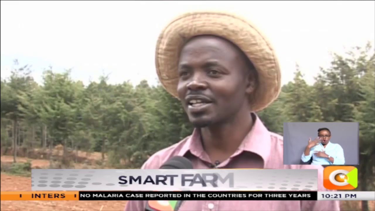 | SMART FARM | Soil Testing Benefits