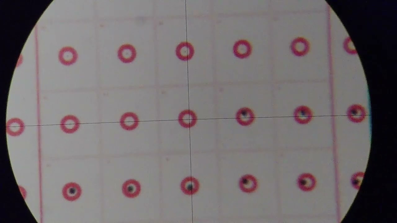 Bench Rest Competition Rifle.....New Build Test Session.