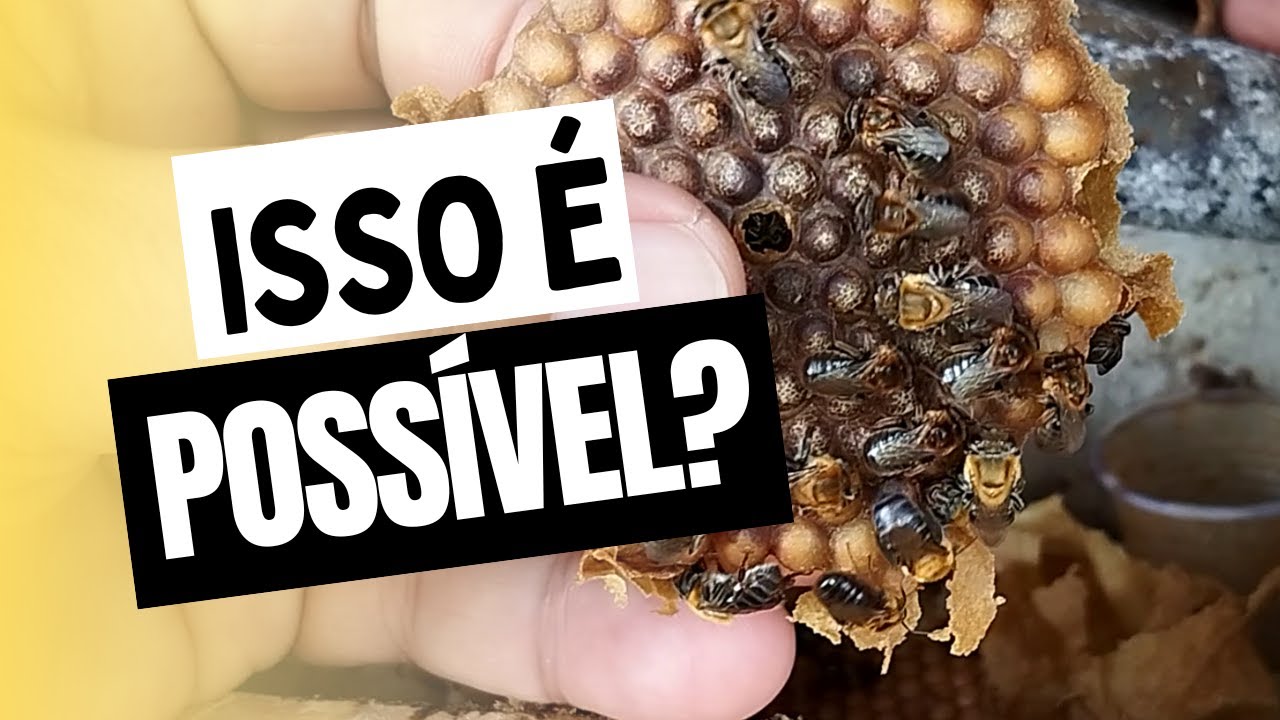 SERÁ QUE ISSO É POSSÍVEL?