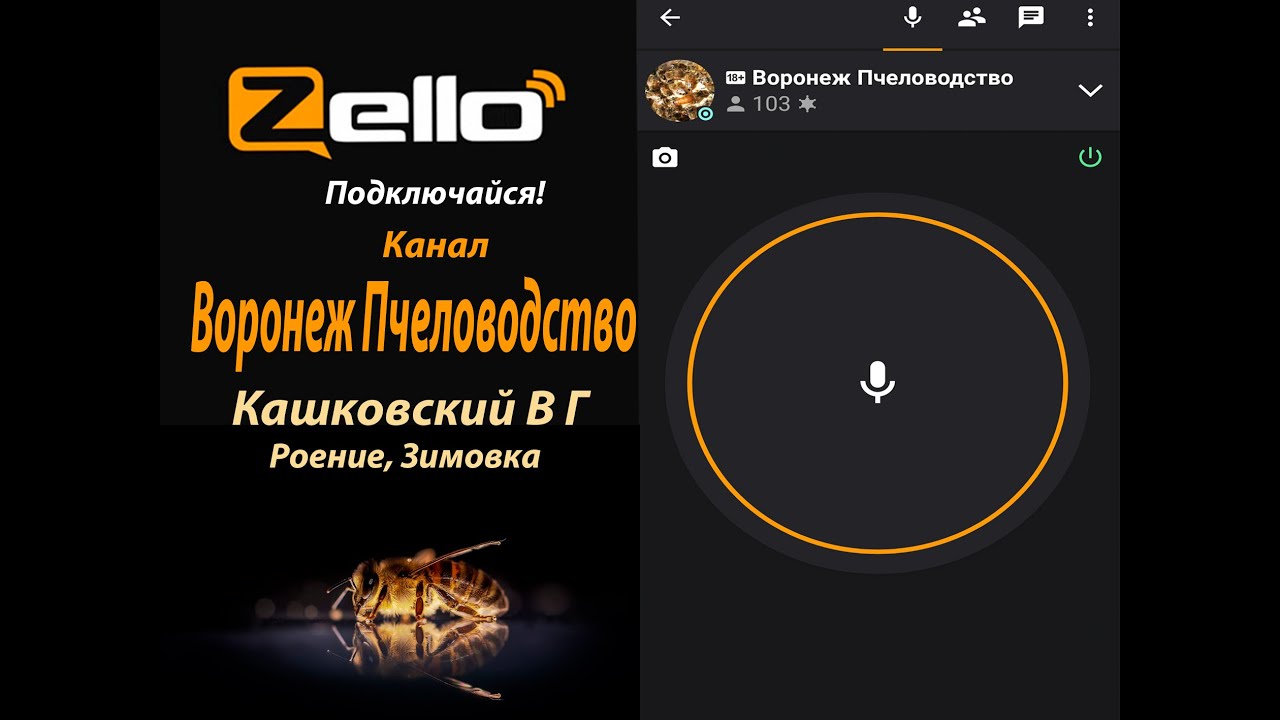 Роение, Зимовка. Кашковский В Г