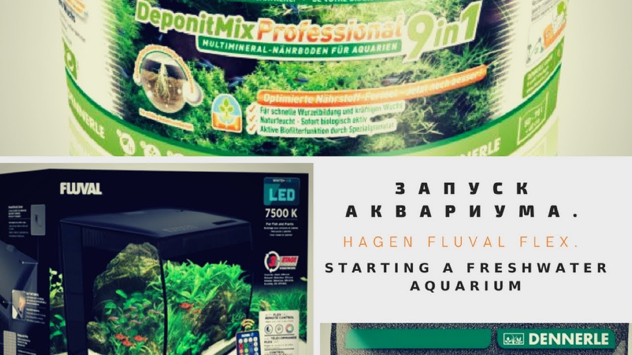 Запуск аквариума. Hagen Fluval Flex