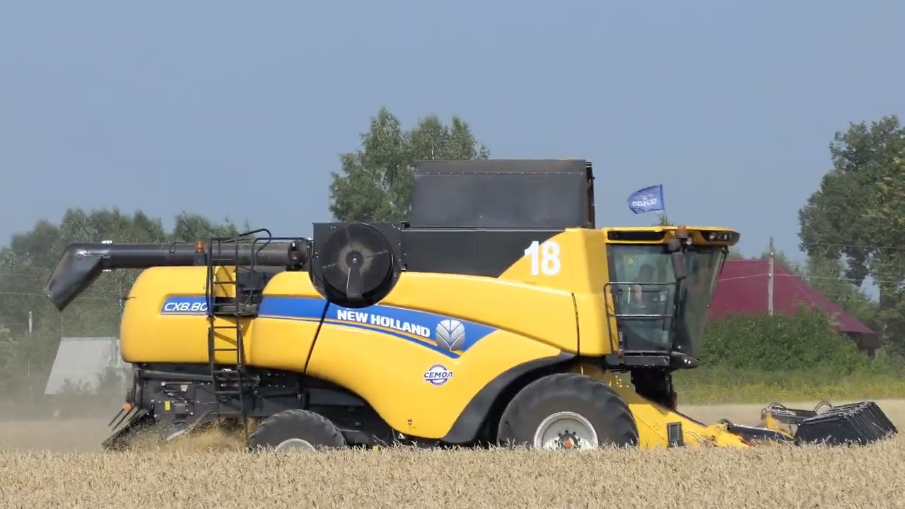 Уборка озимой пшеницы 2 NEW HOLLAND CX 8.80.