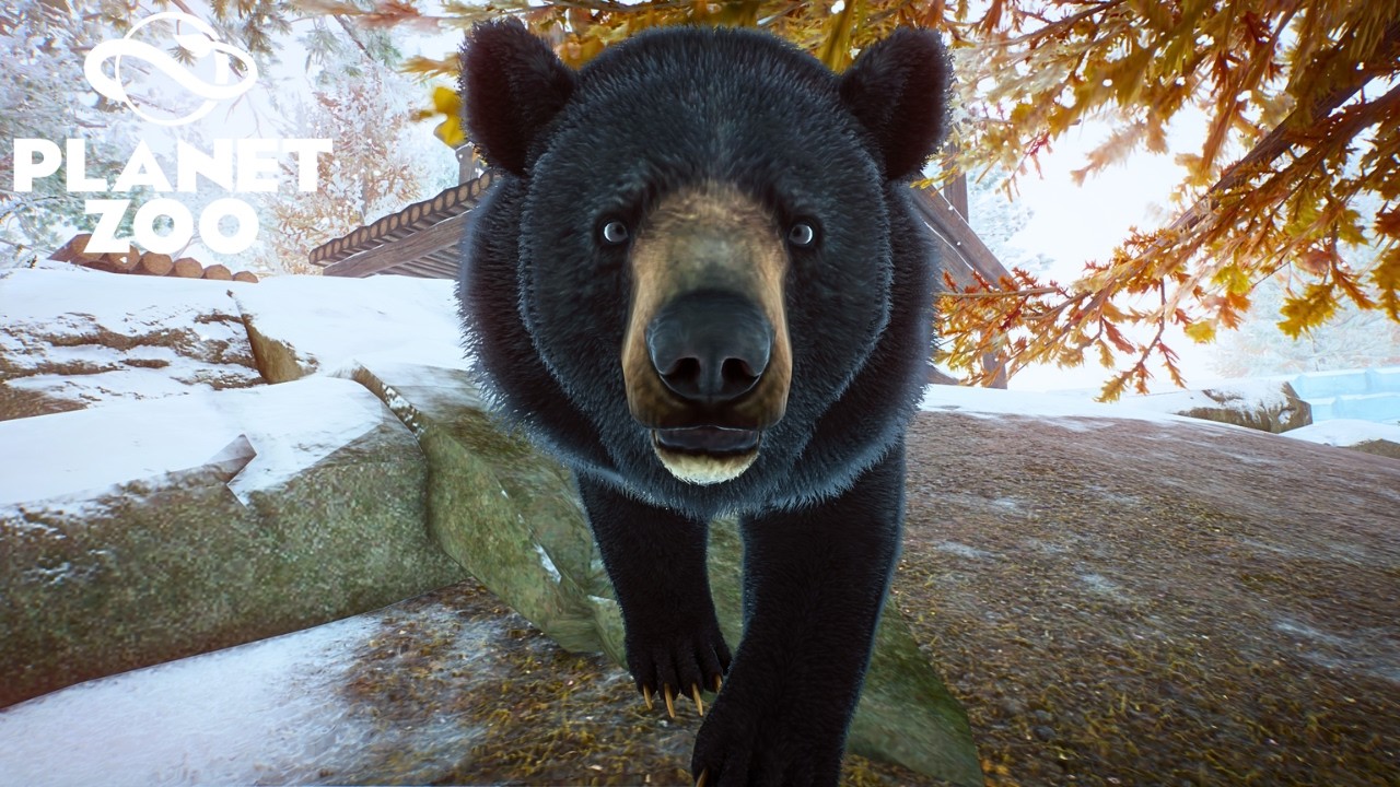 Making a Breeding Habitat for Black Bears in Planet Zoo