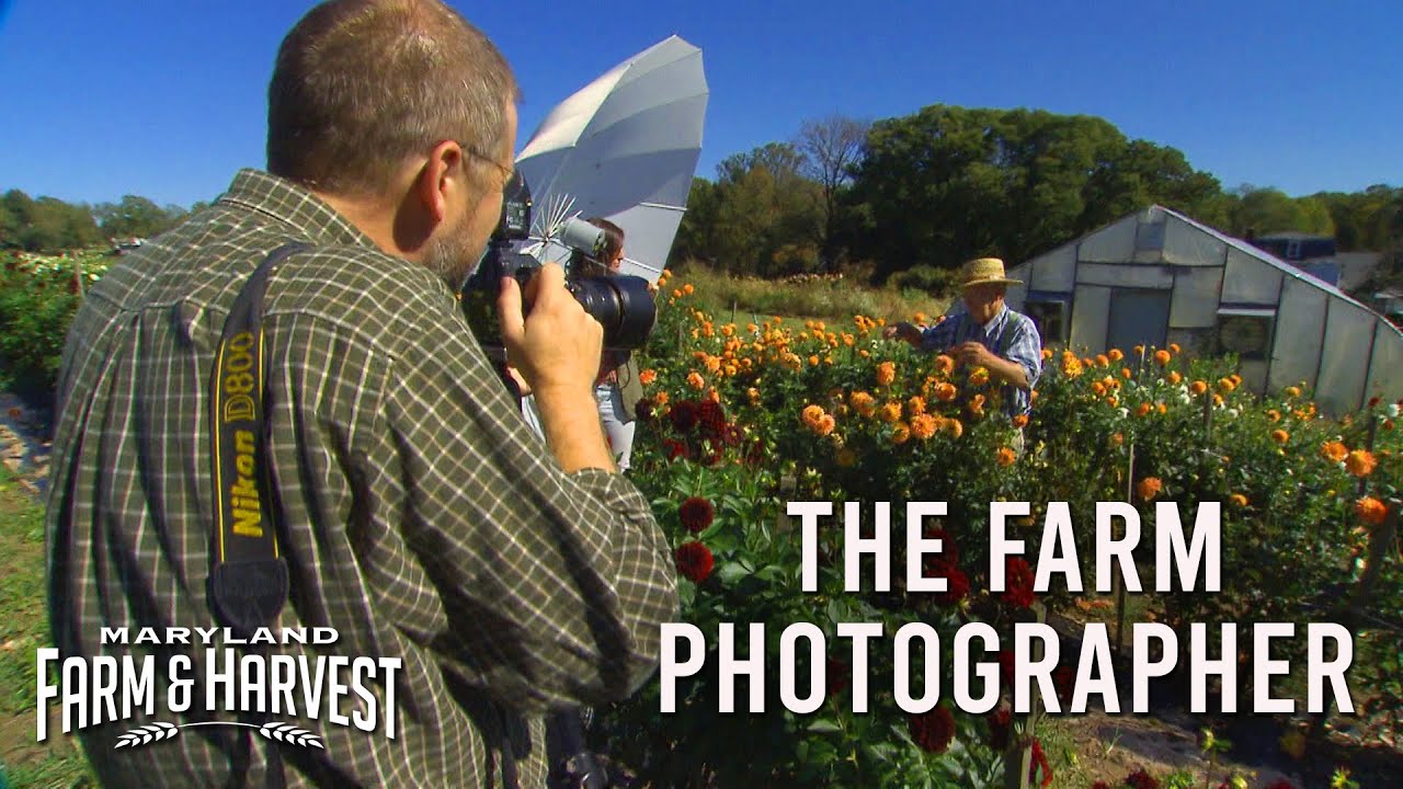 The Farm Photographer | Maryland Farm & Harvest