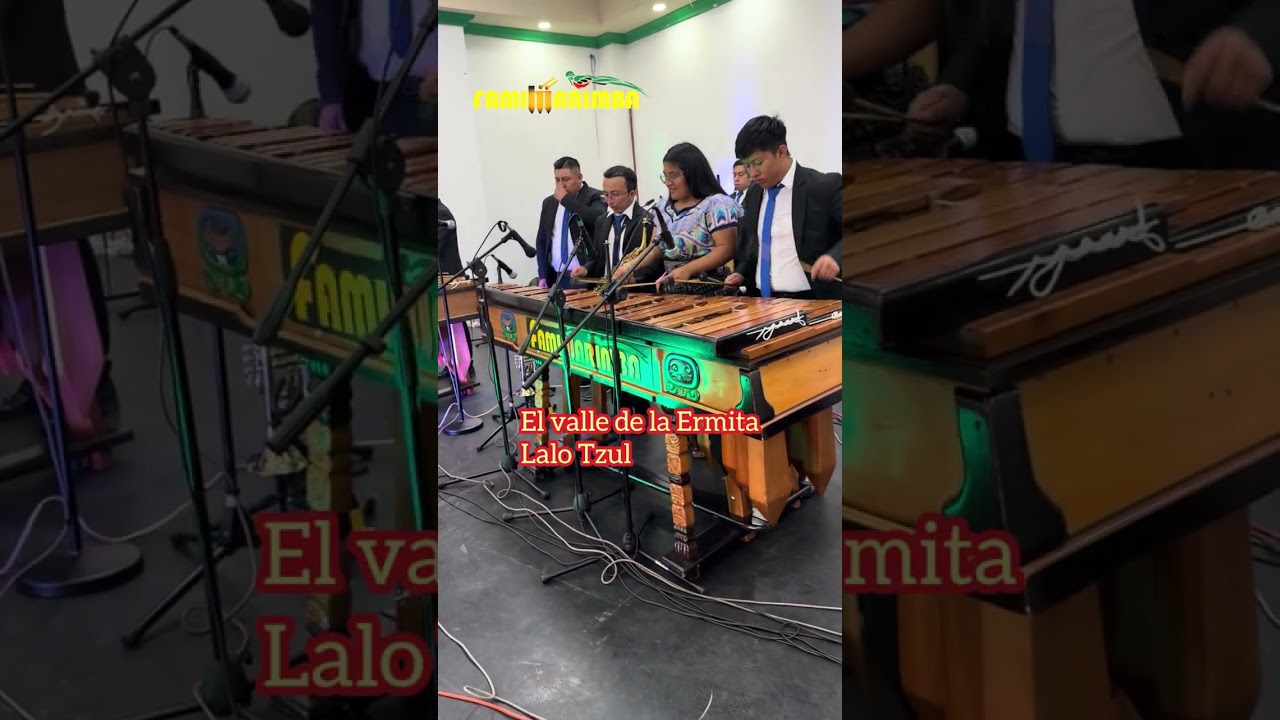 Alegres Taxistecos & El Valle de la Ermita - Lalo Tzul interpreta FAMIMARIMBA 