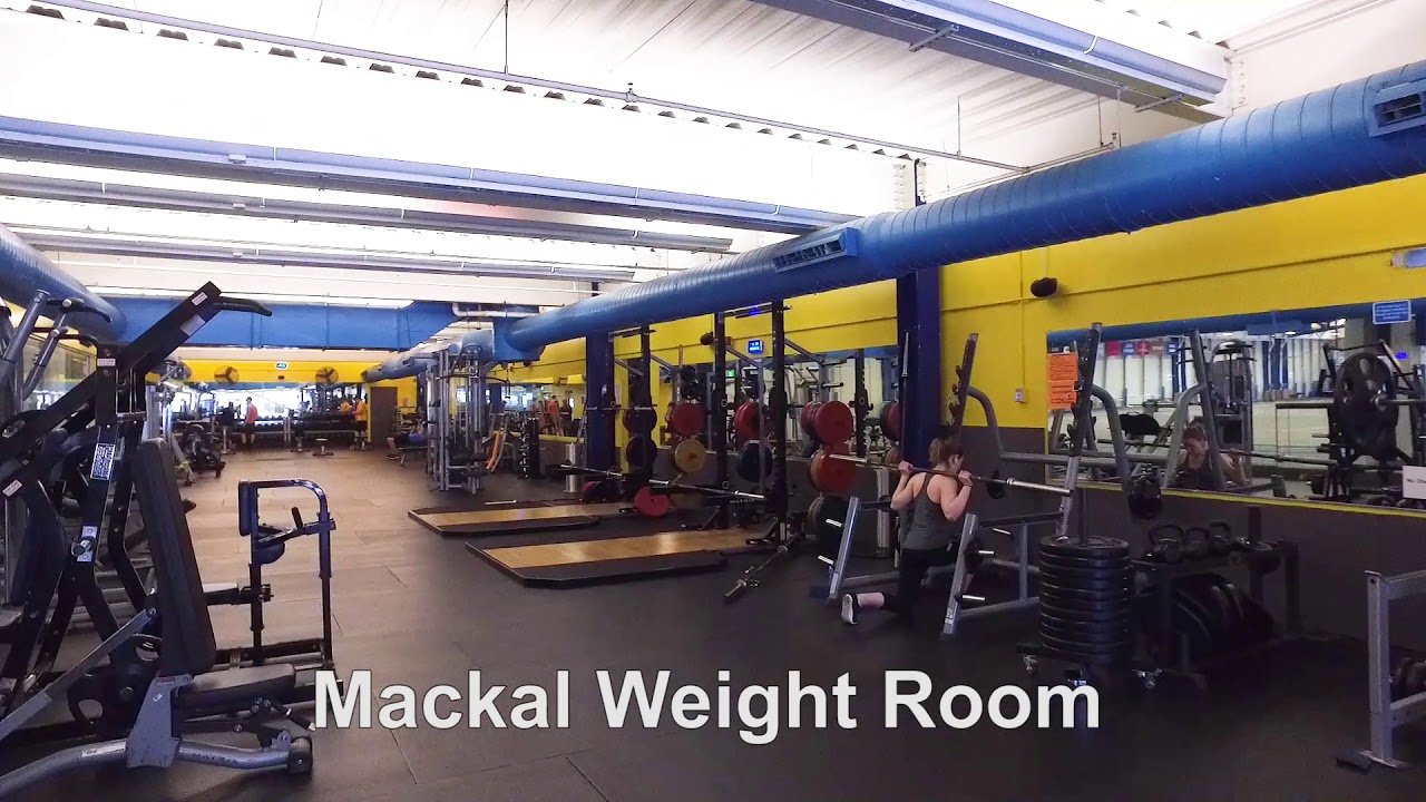 Mackal-Tootell Complex and Anna Fascitelli Welcome Day Video