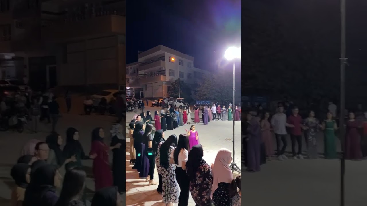 GRUP ÖZ CANLAR ÖZCAN ALACA&ŞAKİRO GRANİ 2021! YENİ! #grupözcanlar #özcanalaca #şakiro #grani