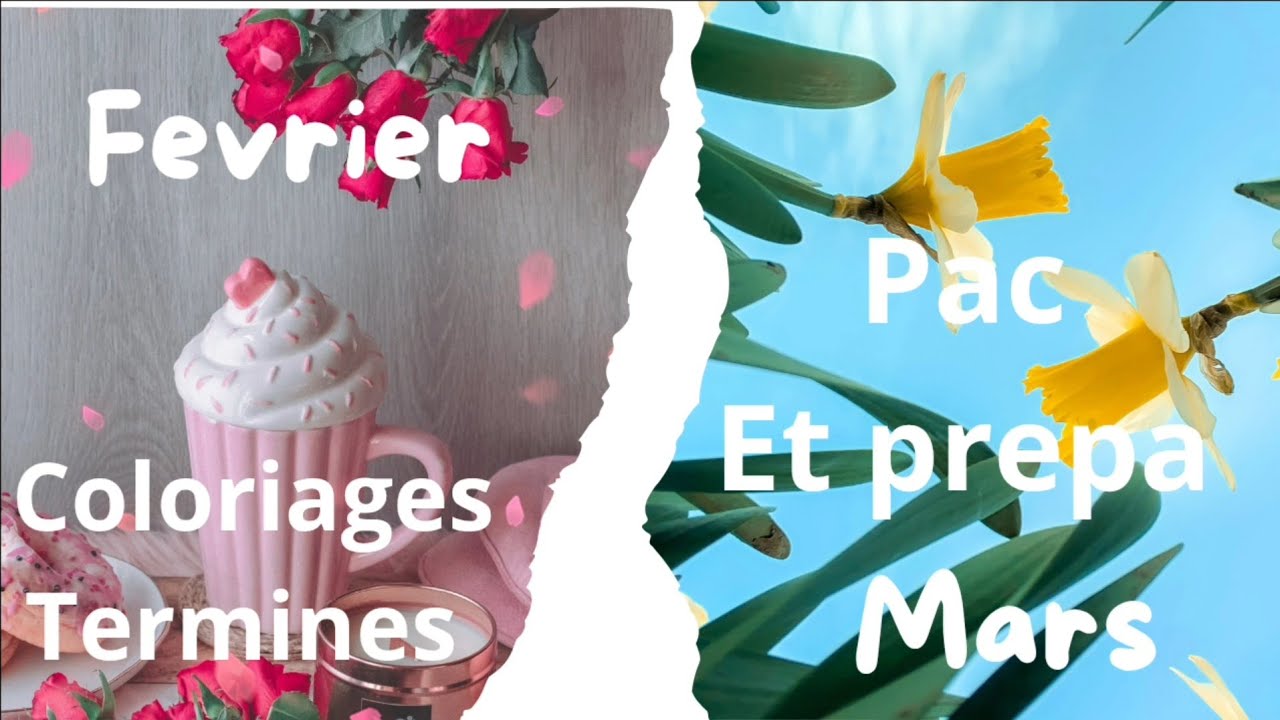 Coloriages terminés février 2026 - on prépare mars !😉