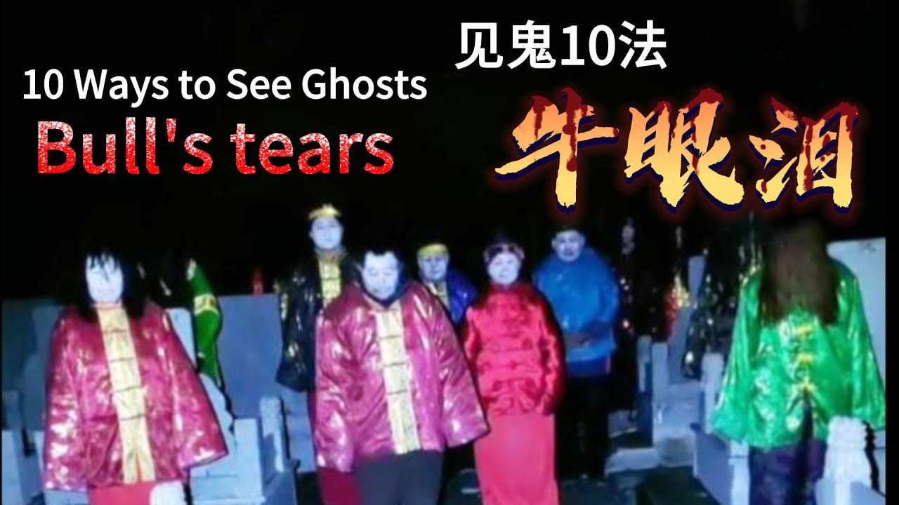 见鬼10法-牛眼泪 10 Ways to See Ghosts - Bull's Tears