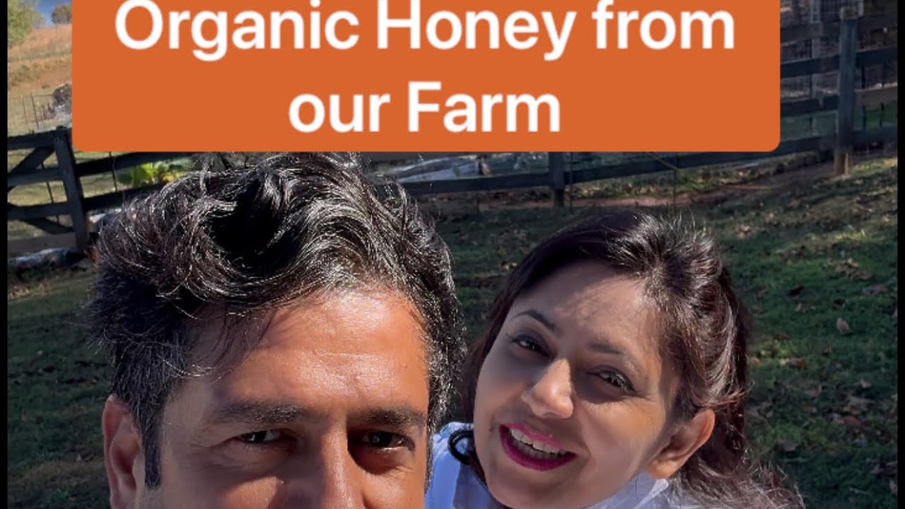 Harvesting organic Honey