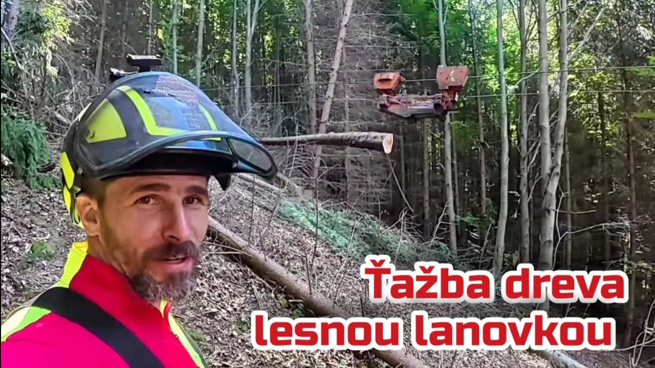 Лесозаготовка с помощью лесной канатной дороги SYNCROFALKE 3T, TRACTORIADA, Amles, Stihl 400.1