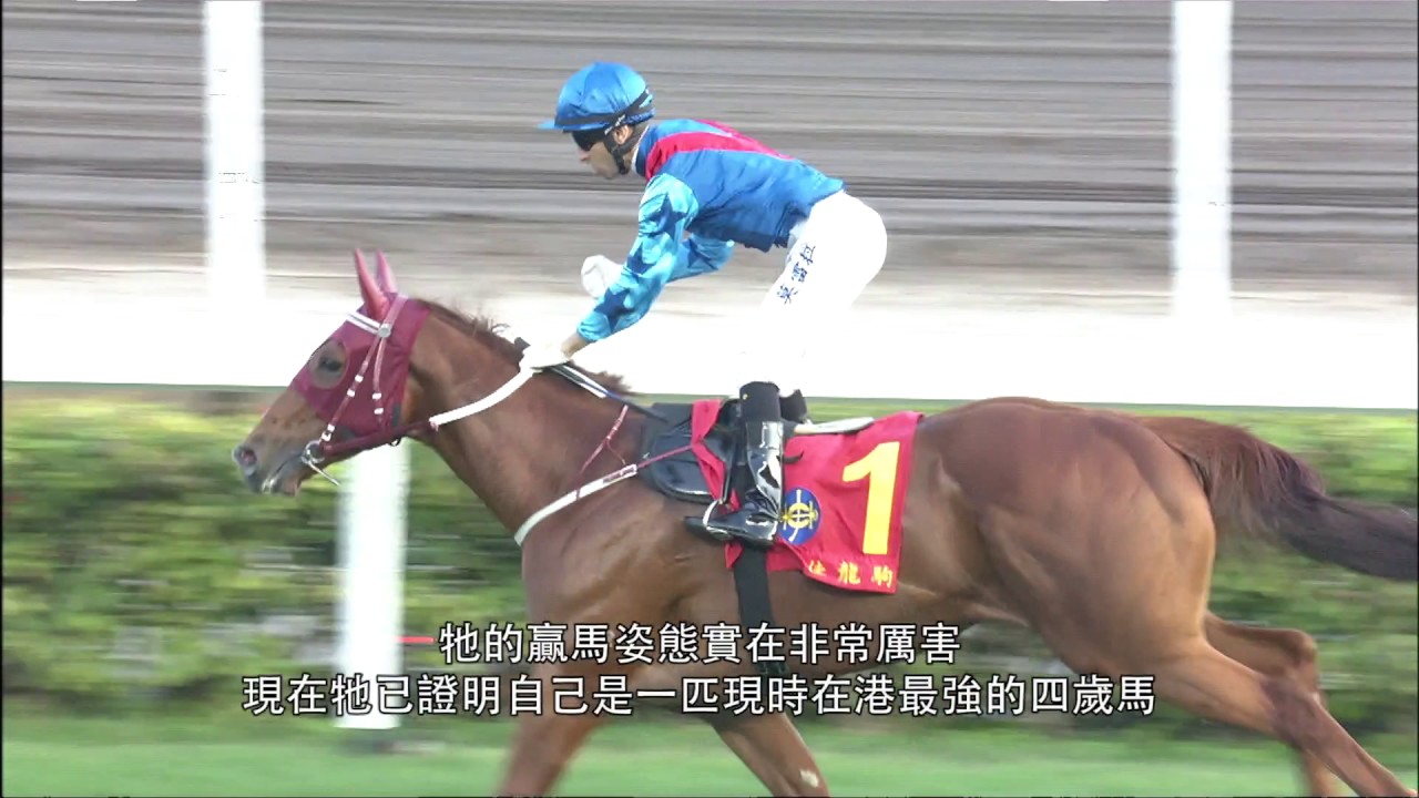 [2017 寶馬香港打吡大賽] 寶馬香港打吡大賽2017特輯(第一節)