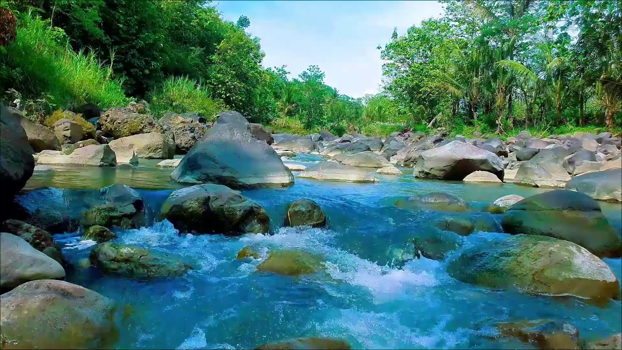 Ambient River in the Woods | ASMR Nature for Focus & Calm