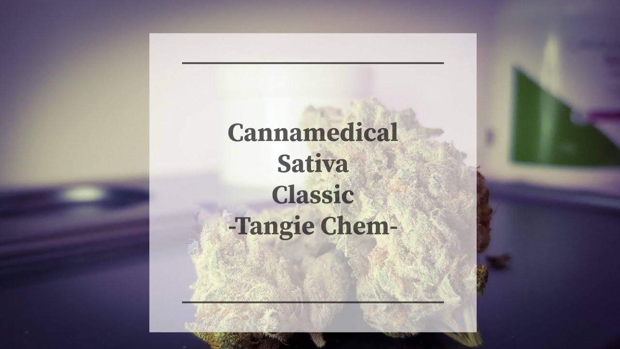 Medizinisches Cannabis Cannamedical Sativa Classic Tangie Chem Strain Review