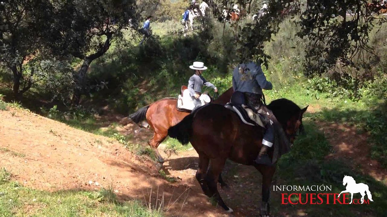 I Concurso de Doma de Campo