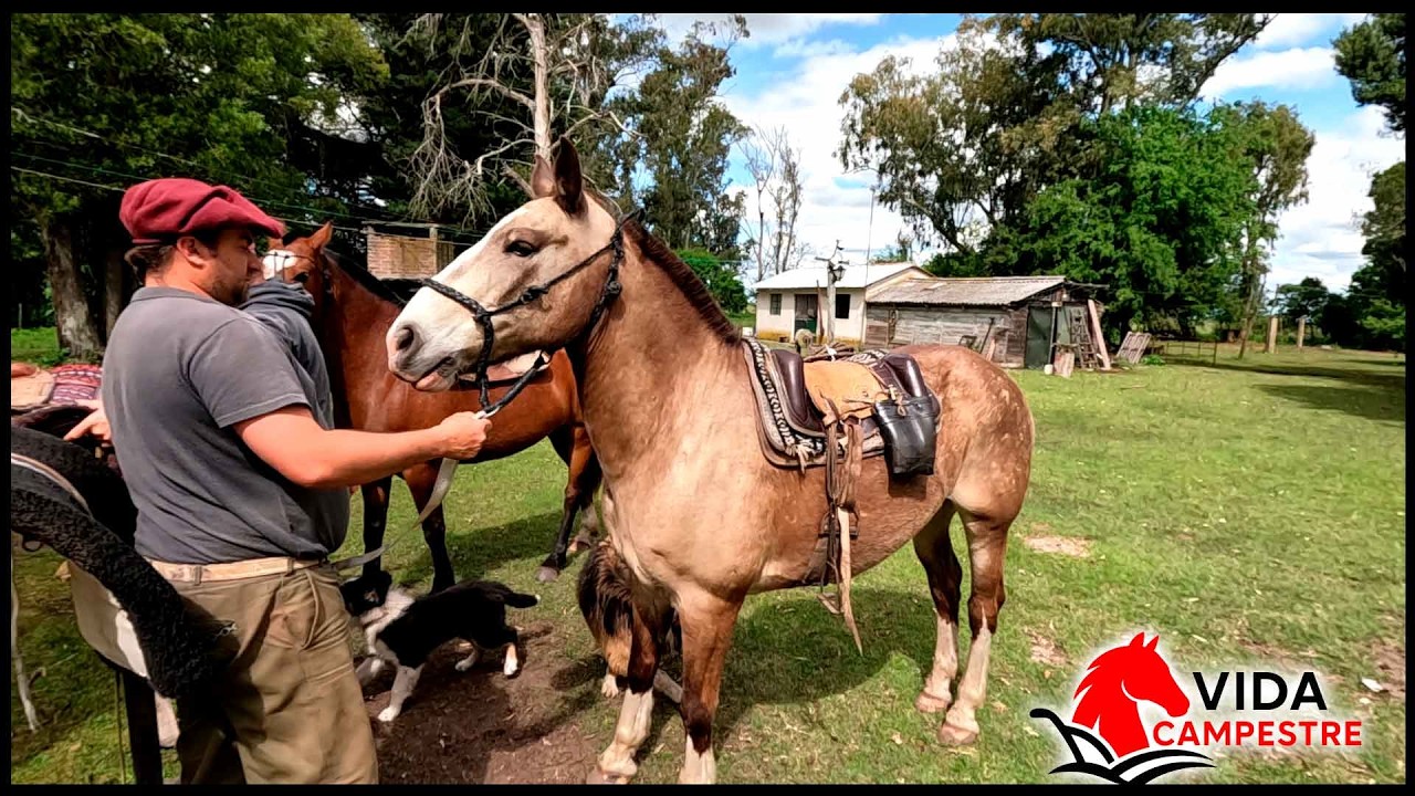 Guillermo pego una rodada en el CABALLO Y ECOGRAFIA CAMPERA