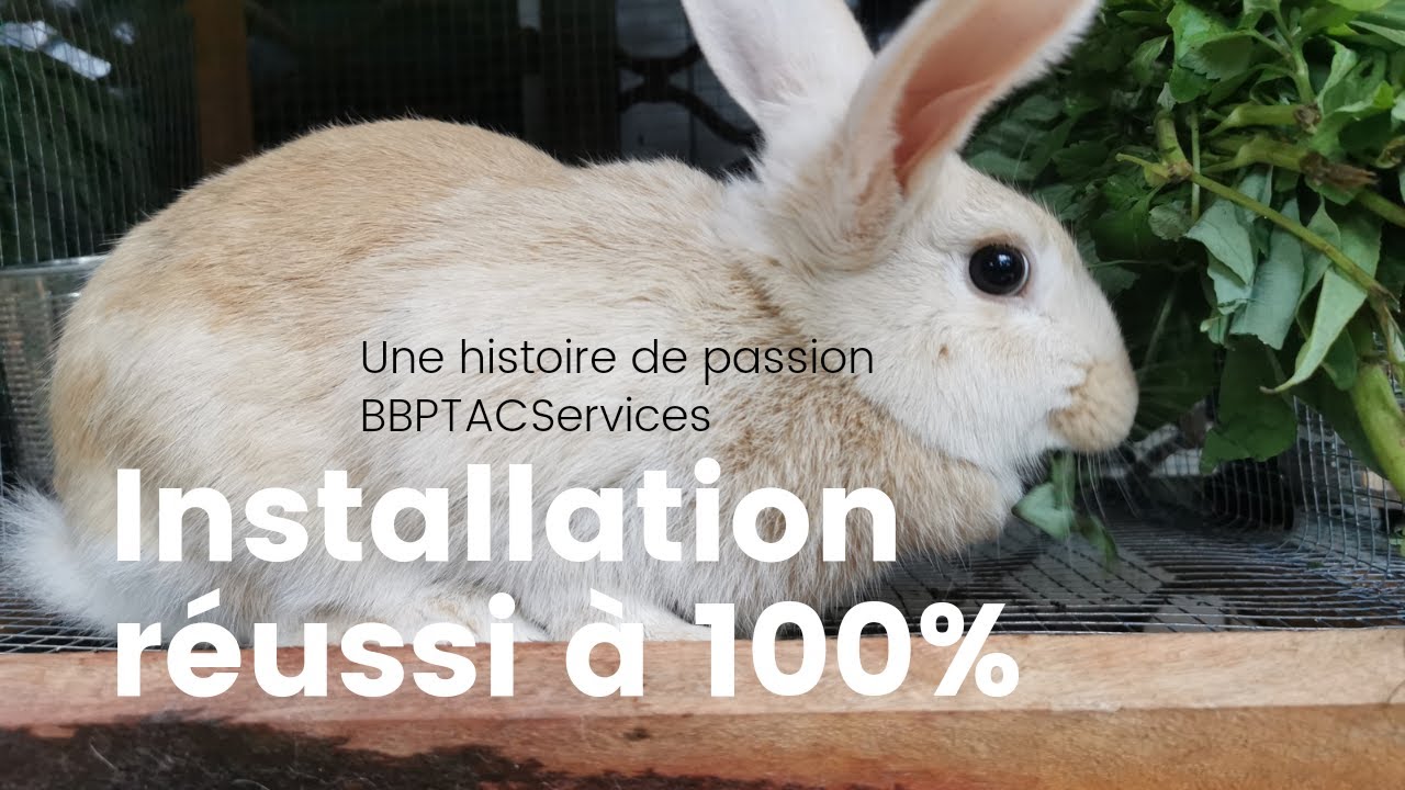 Tout savoir sur les lapins avec BPTACServices (&eacute;pisode 02, Une installation 100% r&eacute;ussie)