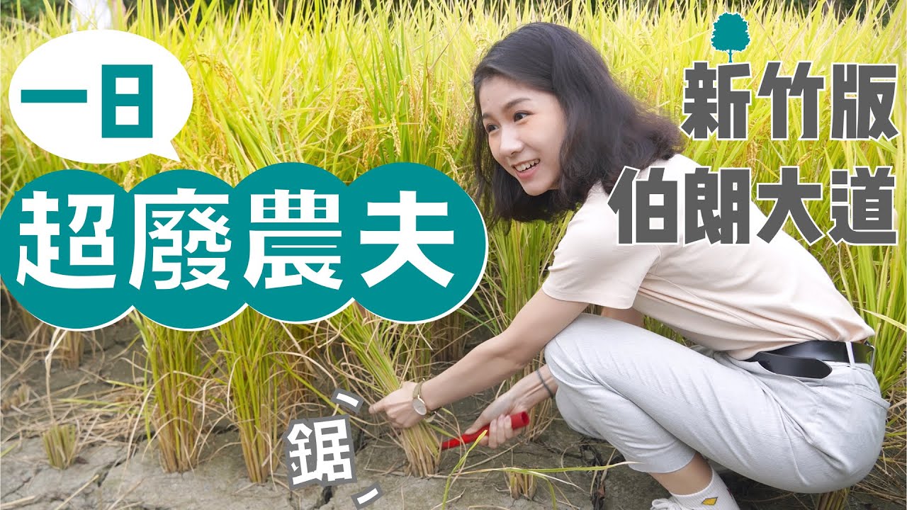 #台知案 再不連署✍🏼璞玉就會變成下一個大埔｜蔓活小日子SlowDownshift