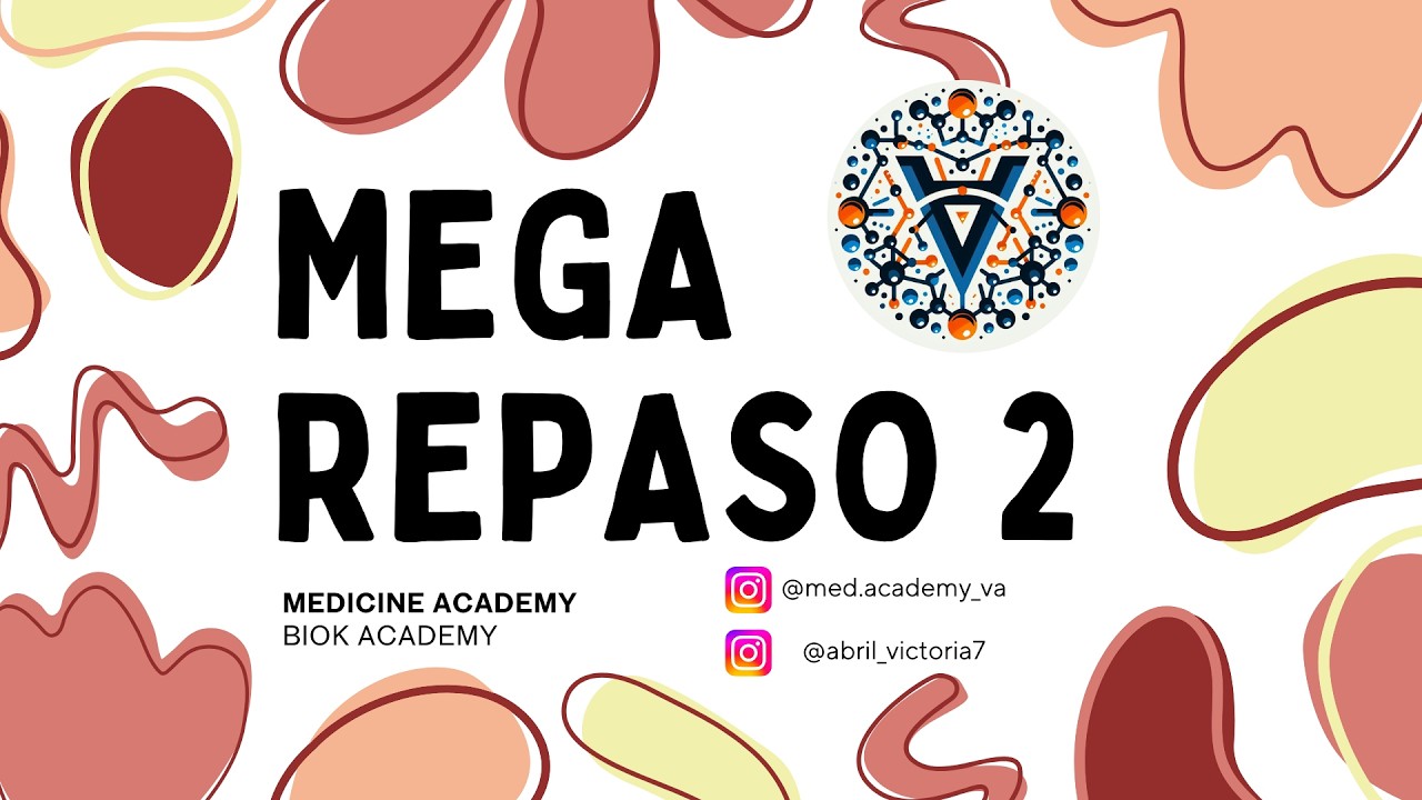 MEGA REPASO B2 pt.1 2026