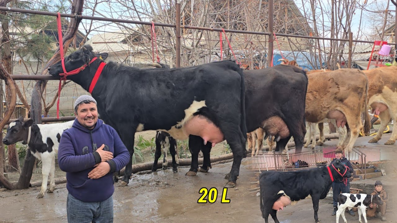 IXTIYOR AKA YANA LOL QOLDIRDI NARXLAR ZO'R 😱 VOY DODDD BUNAQASINI KO'RMANGANMAN 