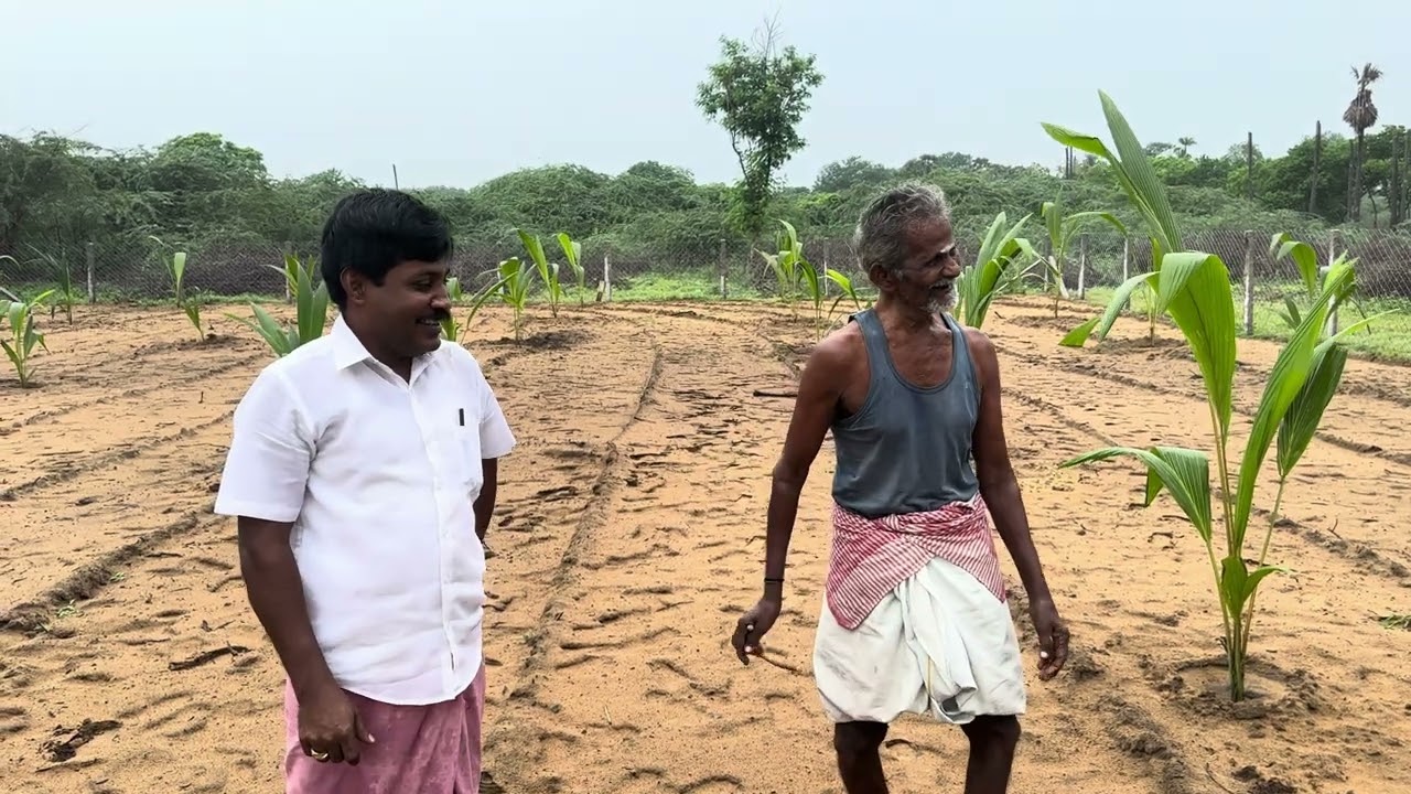 பூமிக்குள்ள இருக்குற தண்ணிய தாத்தா எப்படி பாக்குறாங்க | பழைய ஆட்க்கள் திறமைய பாருங்க |