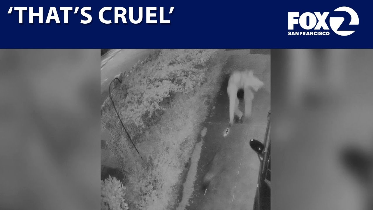 San Francisco man chases raccoon with blowtorch | KTVU