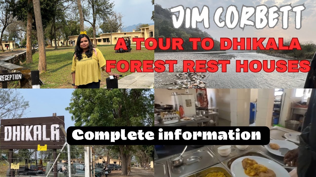 Dhikala forest rest houses complete guide | How to book stay in Jim Corbett National Park