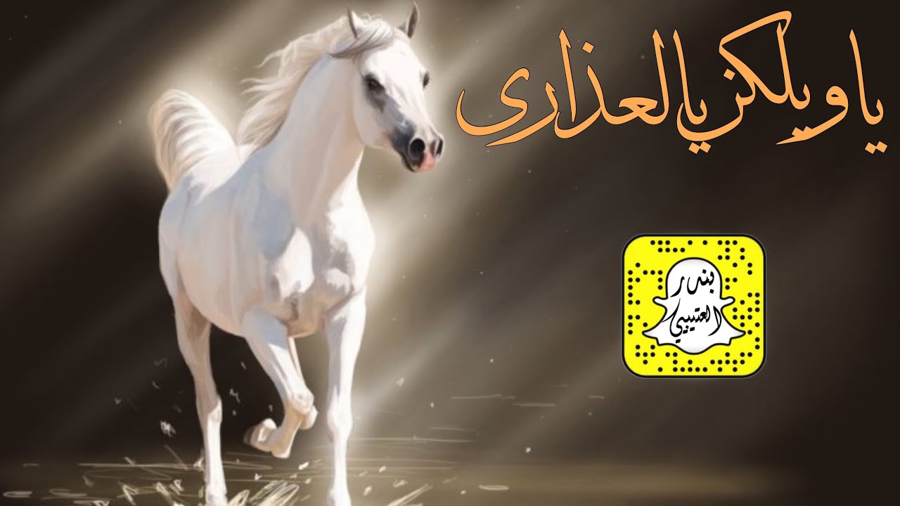 شيلة يويلكن يالعذارى اداء سعد محسن 2022 حصرياً