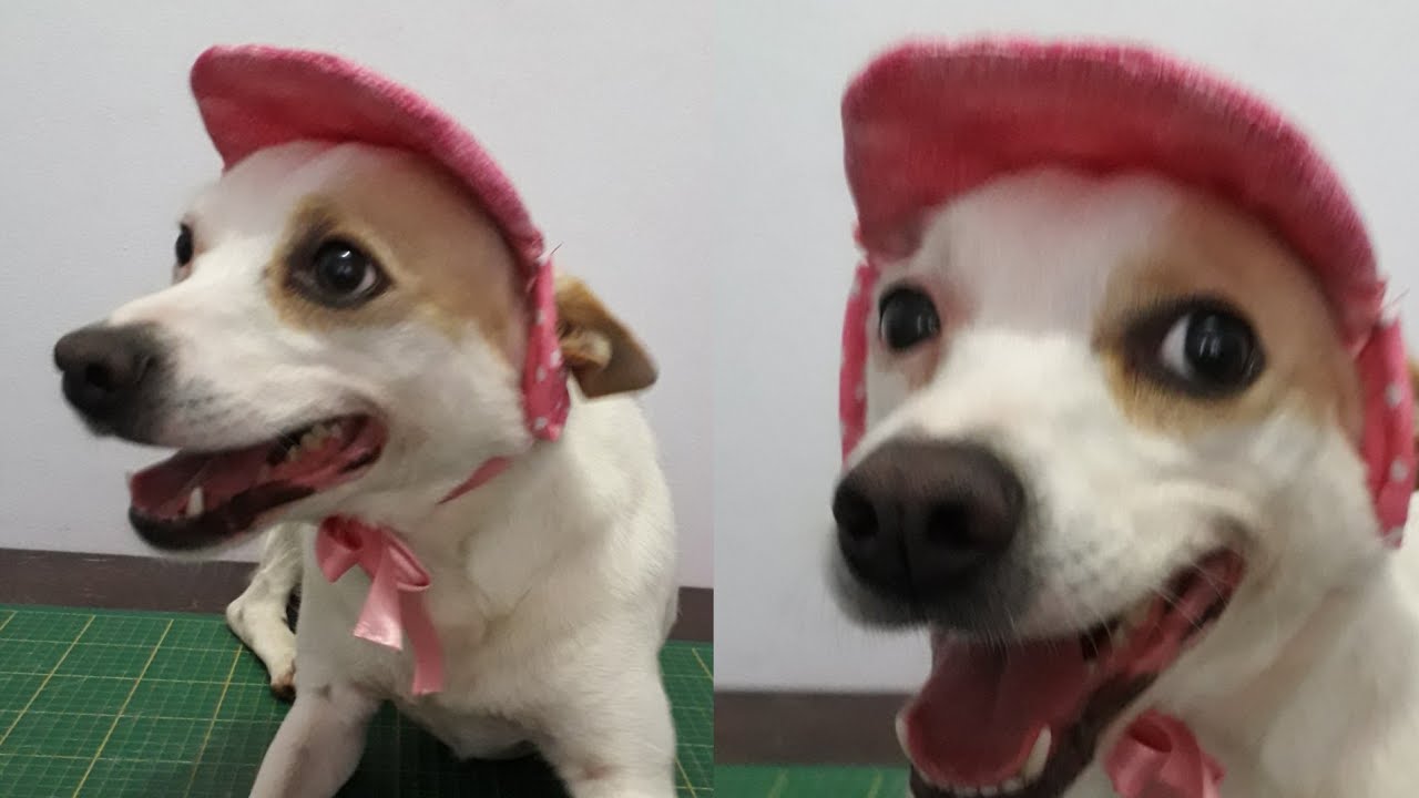 Boné  pet, não precisa modelagem 😁