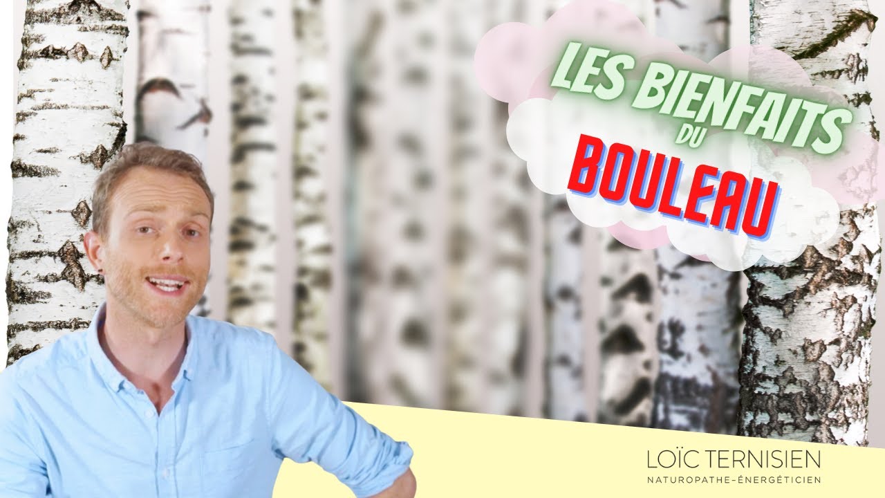 Bouleau, il n'y a pas que la s&egrave;ve !