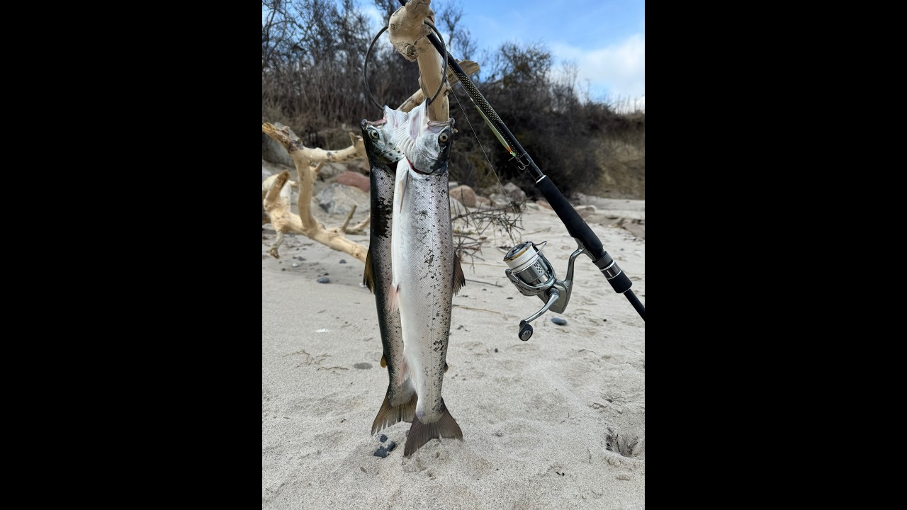 Hav&oslash;rredfiskeri p&aring; M&oslash;n  d.  15.  marts 2026