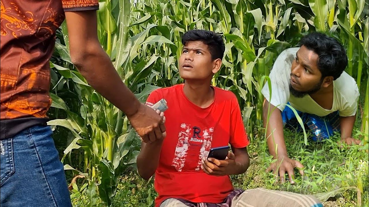 ভুট্টা বাড়িতে ভাতিজা নতুন ব্যবসা ঘন্টায় ২০০