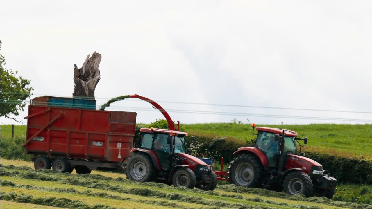 SECOND CUT GRASS SILAGE 2020!