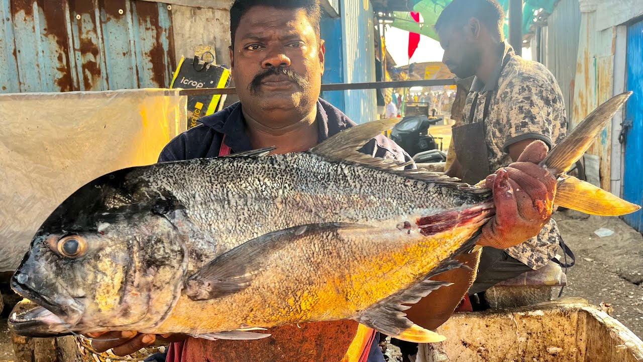 KASIMEDU SPEEDSELVAM BIG SIZE TREVALLY FISH CUTTING VIDEO#kasimeduselvam #fishcooking 