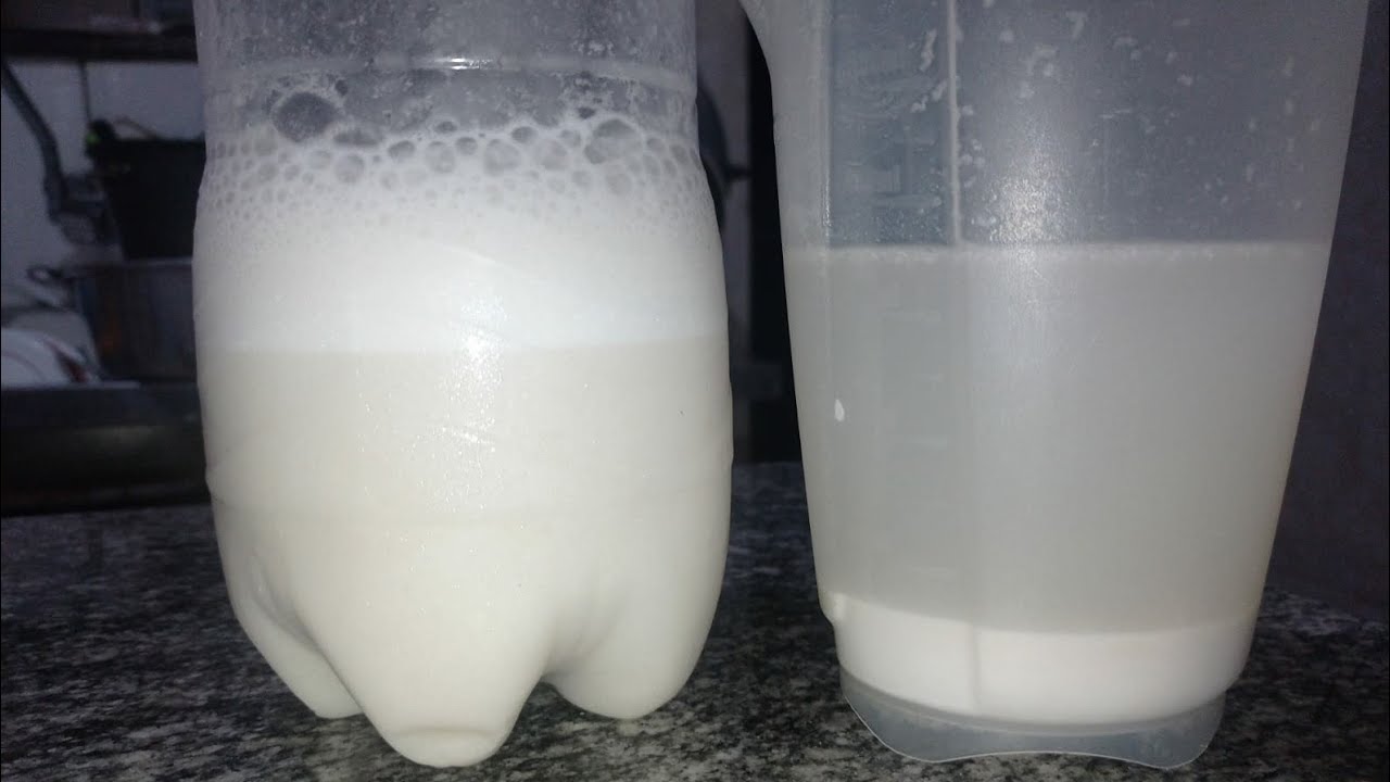 Fermento Natural Sem Reformas Muito Fácil