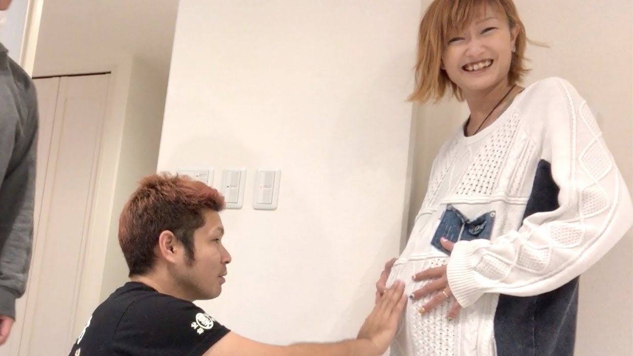 妊娠７ヶ月のおなかを触りまくるゴリラ😆【ココロマン普段の様子】