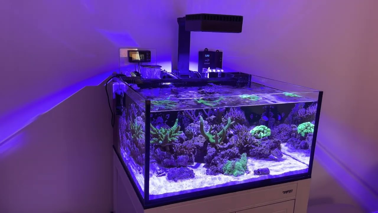 INNOVATIVE MARINE lagoon 25-  FULL Maintenance Routine