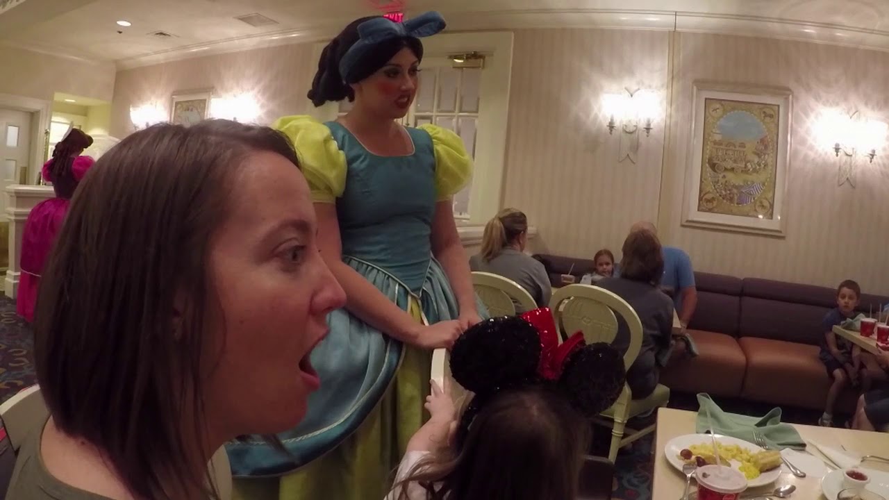 Disney World 2017 *Dinner with Cinderella