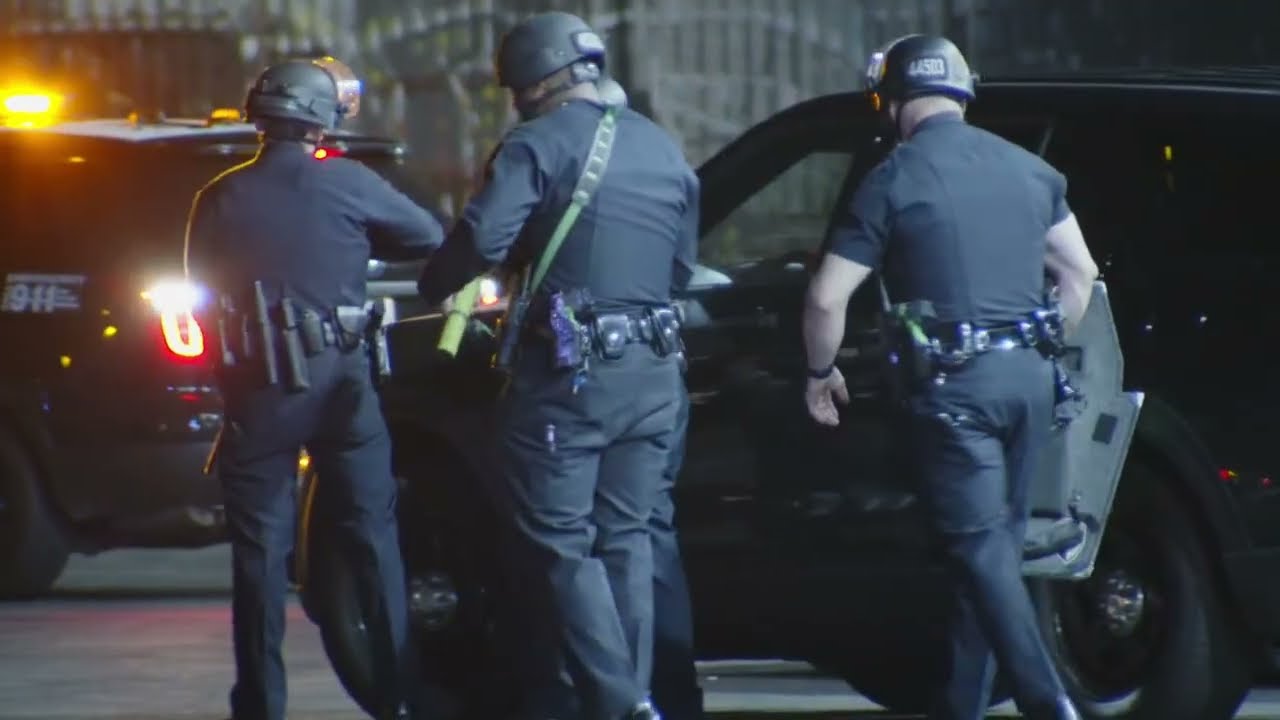 LAPD edit 2